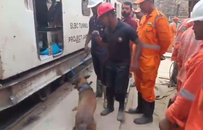 Cadaver dogs from Kerala Police join rescue ops at Telangana SLBC tunnel
