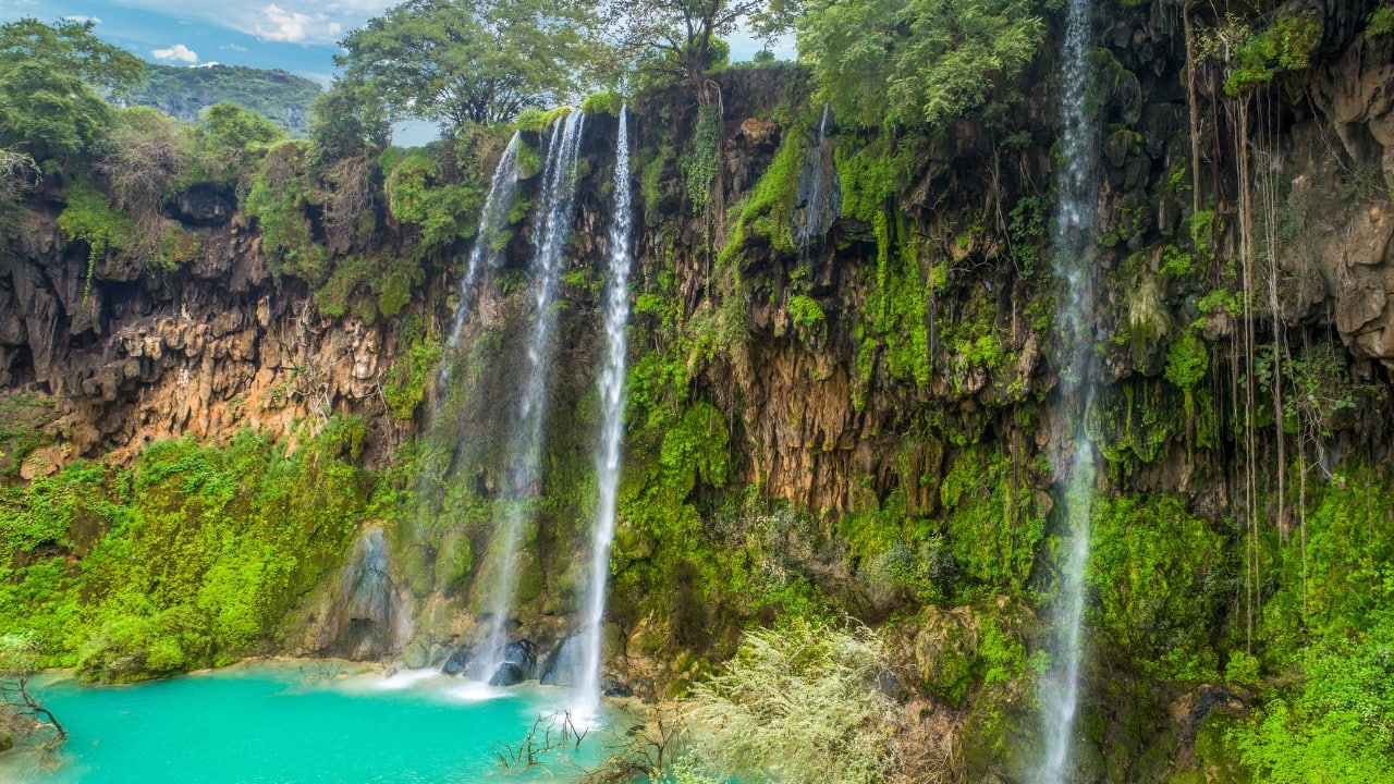 Salalah (Image: Canva)