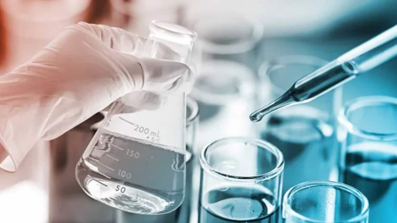 Divi’s Lab: Capex cycle picks up to meet emerging CDMO demand Divi’s Lab: Capex cycle picks up to meet emerging CDMO demand