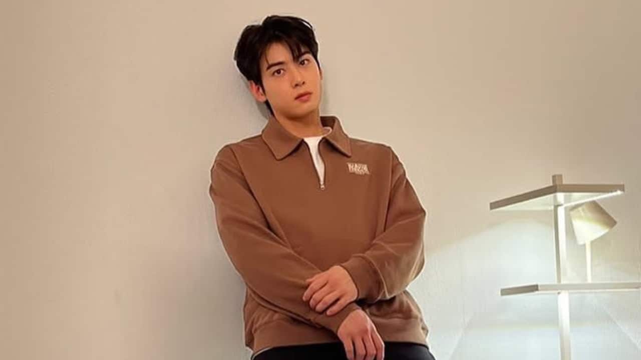 Cha Eun Woo exits from Hong Sisters’ upcoming K-drama