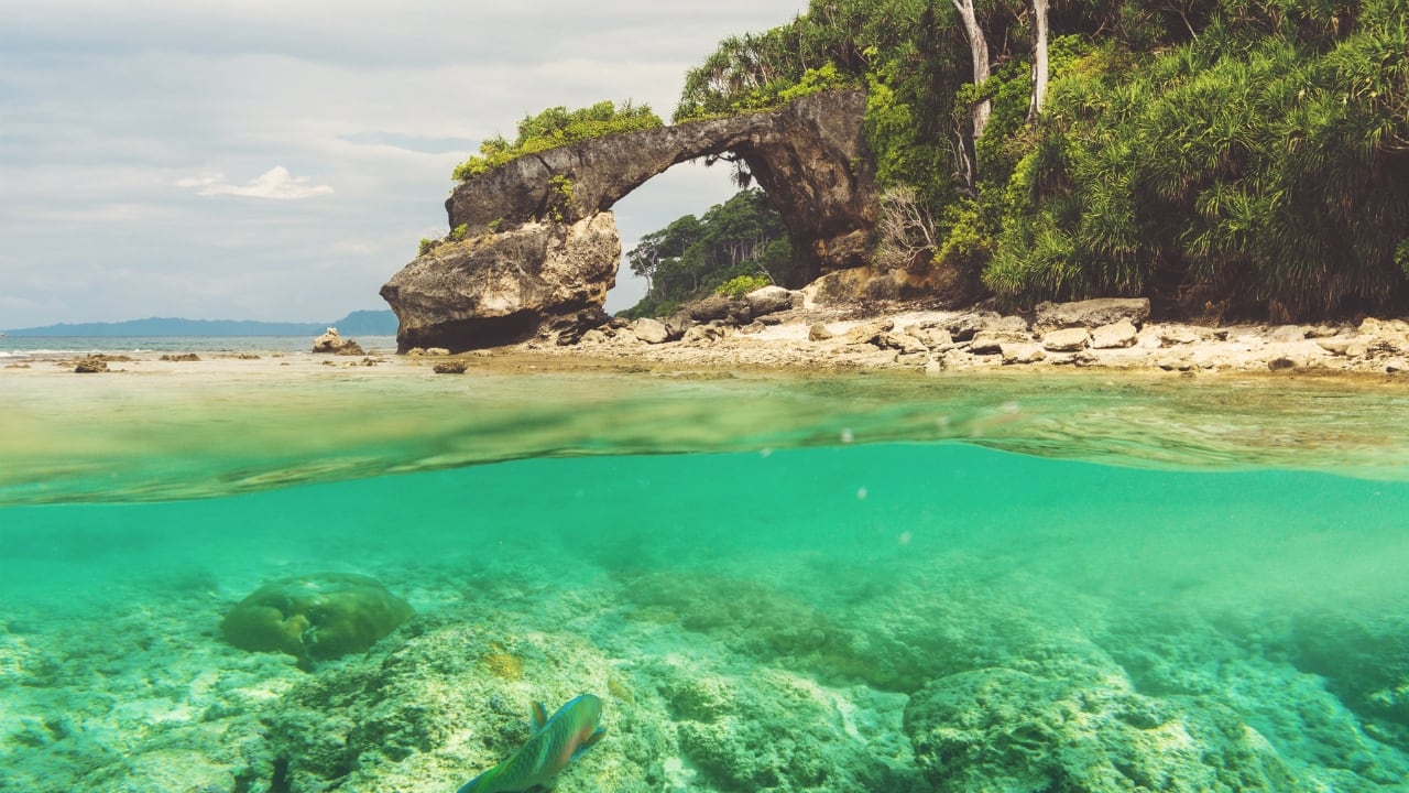 2. Neil Island, Andaman &amp; Nicobar Looking for a quiet, crowd-free island? Neil Island is your answer. With its untouched beaches, crystal-clear waters, and laid-back vibe, it’s perfect for unwinding. Rent a bicycle and explore the island’s coconut-lined roads, snorkel in the shallow waters, and don’t miss the stunning natural rock bridge at Laxmanpur Beach. Must-See Spots: Bharatpur Beach, Laxmanpur Beach, Natural Bridge (Image: Canva)