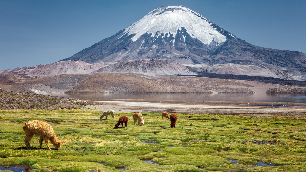 7. Chile – Volcanoes, Glaciers, and the Andes Chile is a land of extremes, where the towering Andes Mountains meet breathtaking fjords and glaciers. Whether you’re trekking through Patagonia or climbing Ojos del Salado (6,893m), the world’s highest active volcano, Chile is an adventurer’s paradise. Where to Go: Torres del Paine National Park: A wild and rugged wonderland. Atacama Desert &amp; the Andes: An otherworldly landscape. Ojos del Salado: The highest volcano on Earth. (Image: Canva)