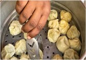 Severed dog head found in fridge of momo factory in Punjab's Mohali, probe launched