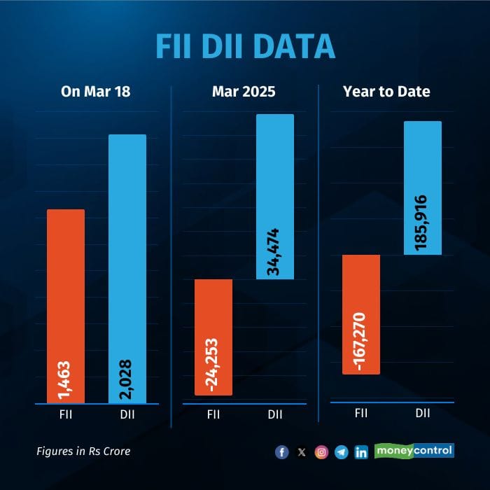fii-dii-daily-graphic