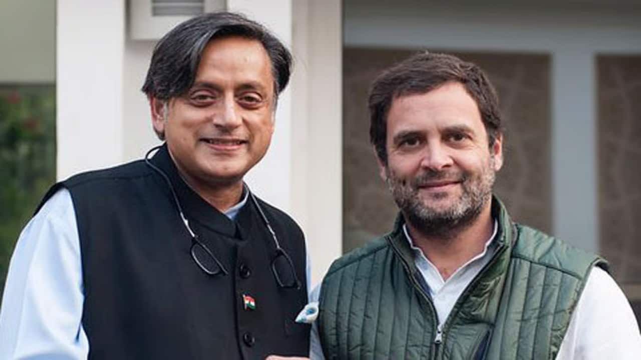 Shashi Tharoor counters historian's criticism on Rahul Gandhi's qualifications for PM post: 'What about... - Moneycontrol.com