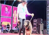 World's most expensive dog: Bengaluru breeder buys rare 'wolfdog' for Rs 50 crore
