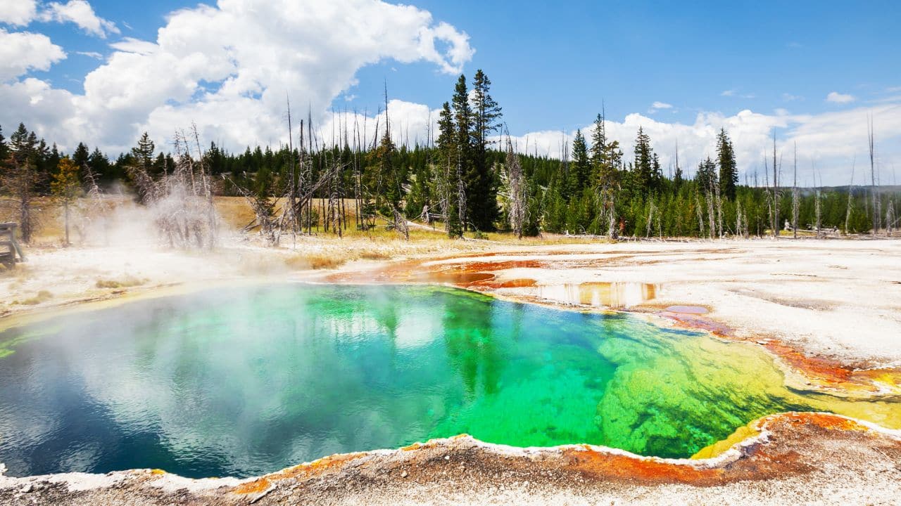 Mysterious steam rises in Yellowstone as new vent appears– Is the supervolcano waking up?