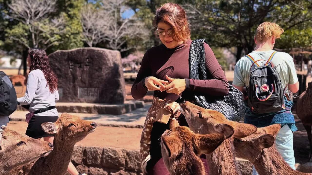 Filmmaker Tahira Kashyap shares photos from her Japan trip, writes, "Kyoto was simple living at its best"