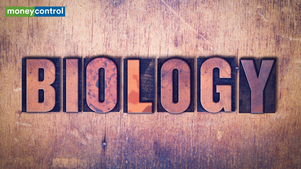 CBSE Class 12 Biology Exam 2025 Today: Important guidelines to help students maximise their scores CBSE Class 12 Biology Exam 2025 Today: Important guidelines to help students maximise their scores
