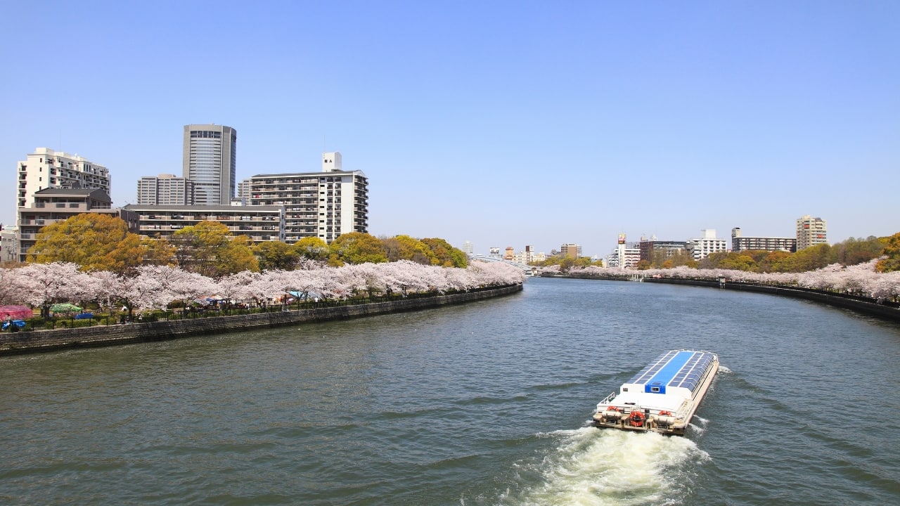 10. Cruise Along the Okawa River For a relaxing break, hop on an Okawa River cruise. In spring, cherry blossoms frame the water, while night cruises reveal a city bathed in lights. It’s a peaceful way to see Osaka from a whole new angle. (Image: Canva)