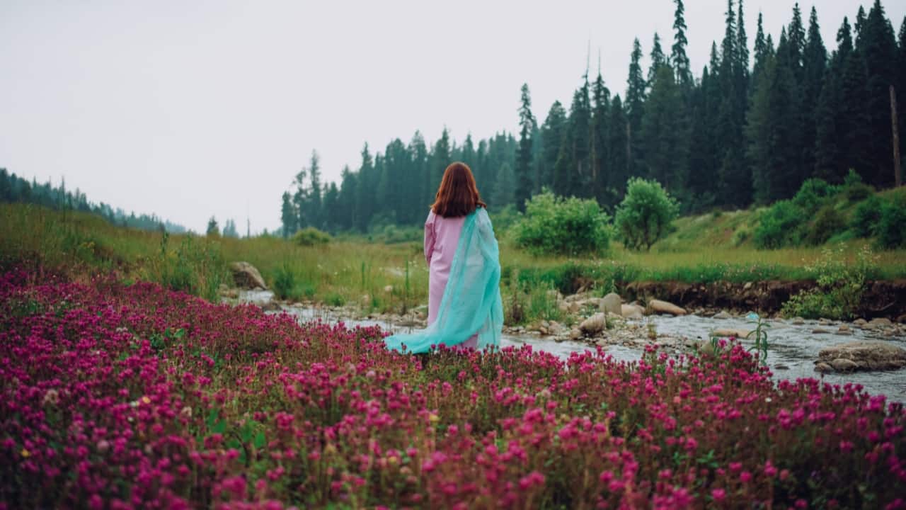 7. Trek Through Yusmarg’s Flower-Filled Meadows For those who love the outdoors, a day trip to Yusmarg is a must. Located about 47 km from Srinagar, Yusmarg’s rolling meadows come alive with wildflowers from April to June. It’s the perfect spot for hiking, horse riding, or simply unwinding with a picnic. The Doodh Ganga River, with its crystal-clear waters, adds to the picture-perfect scenery. (Image: Canva)