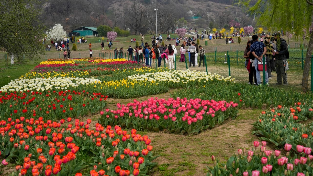 Easier Access with Online Bookings To make your visit hassle-free, authorities have introduced an online and QR code-based ticket system available at multiple locations, including Srinagar Airport. Whether you're a local planning a day out or a traveler eager to catch the blooms, booking your entry is now just a few clicks away. (Image: PTI) Easier Access with Online Bookings To make your visit hassle-free, authorities have introduced an online and QR code-based ticket system available at multiple locations, including Srinagar Airport. Whether you're a local planning a day out or a traveler eager to catch the blooms, booking your entry is now just a few clicks away. (Image: PTI)