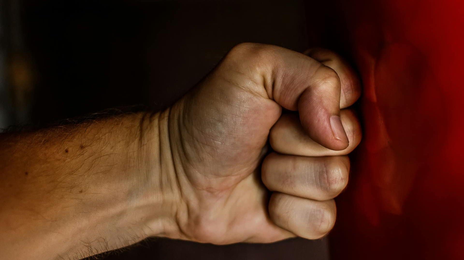 The ‘alpha male’ is an important concept in the manosphere. (Image credit: Pexels/Pixabay)