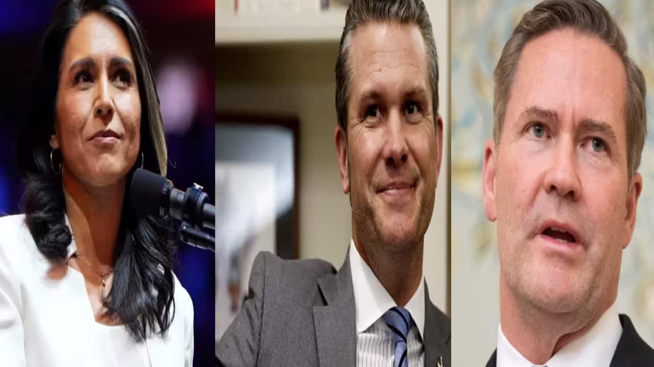 Amid Signal chat scandal, Waltz, Gabbard, Hegseth's private data exposed online: Report