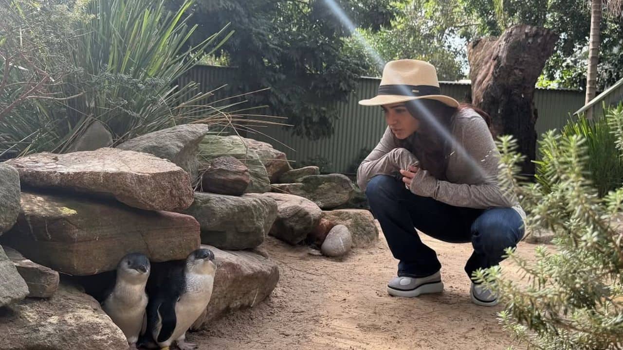 Samantha Ruth Prabhu embraces nature in stunning pictures from Sydney Wildlife Park, says "From feeding kangaroos to..."