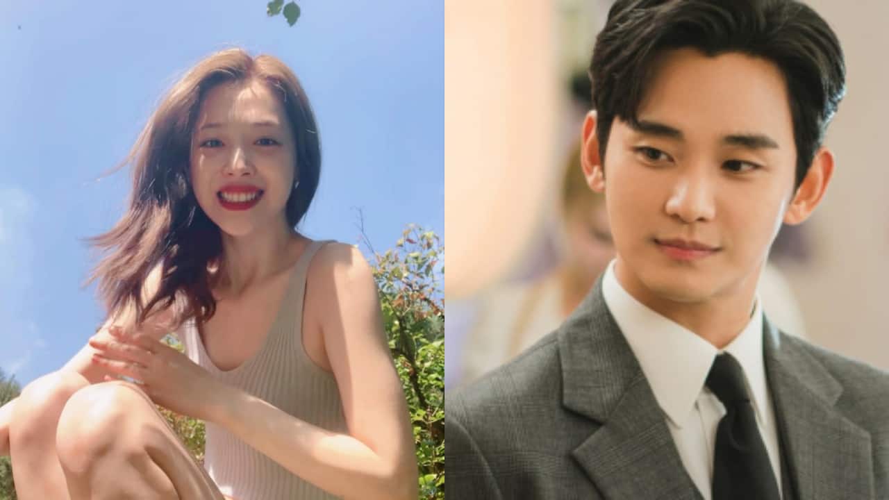 Sulli's brother posts a cryptic message amid Kim Soo Hyun dating scandal, writes, "Six Years of Pain..."