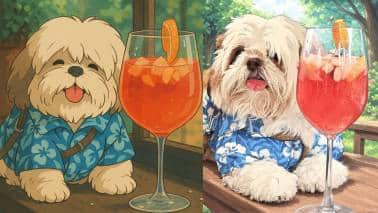 Ghibli images 
