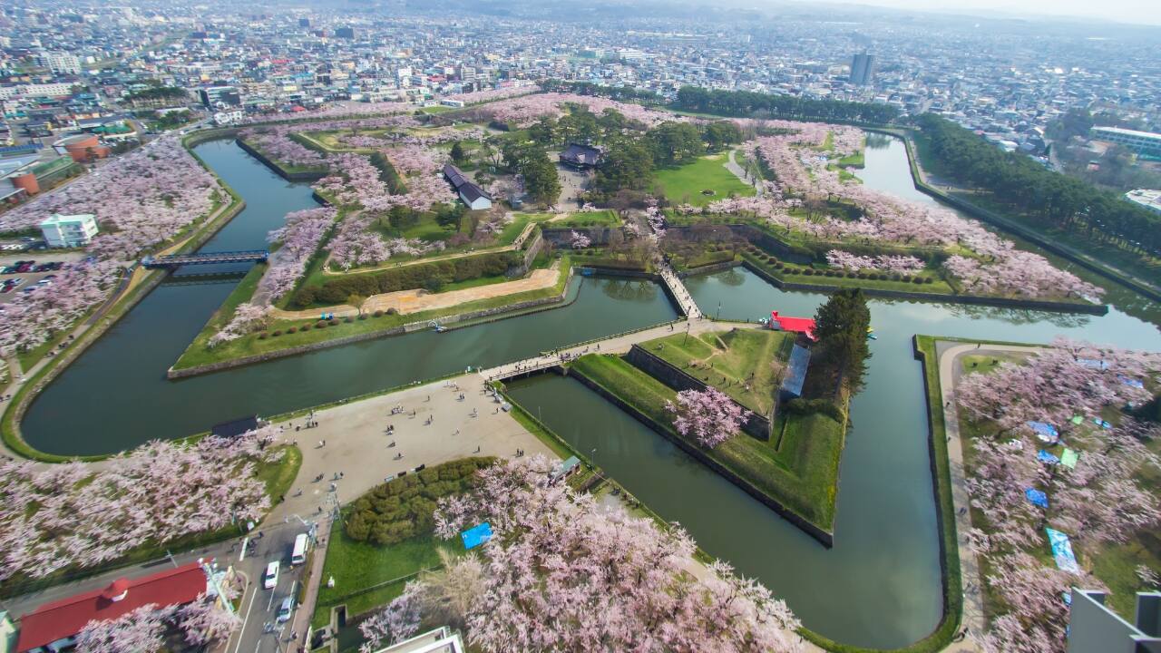 9. Goryokaku Fort: A Star-Shaped Bloom Located in Hakodate, Hokkaido, Goryokaku Fort is a stunning location to witness cherry blossoms in full bloom. The star-shaped fort is surrounded by a moat lined with sakura trees, offering a unique and picturesque view. It’s one of the most beautiful and lesser-known spots for cherry blossom viewing in Japan. (Image: Canva)