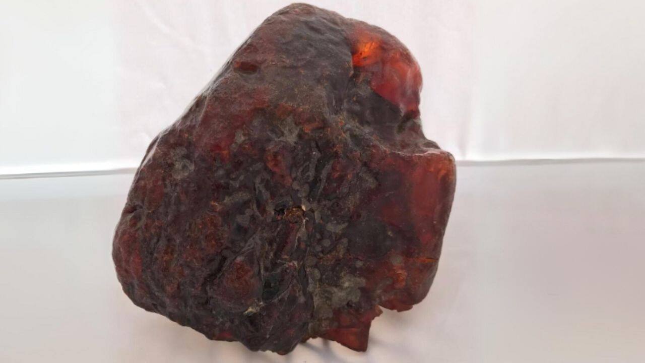 Romanian family’s ordinary doorstep rock turns out to be a €1 million treasure