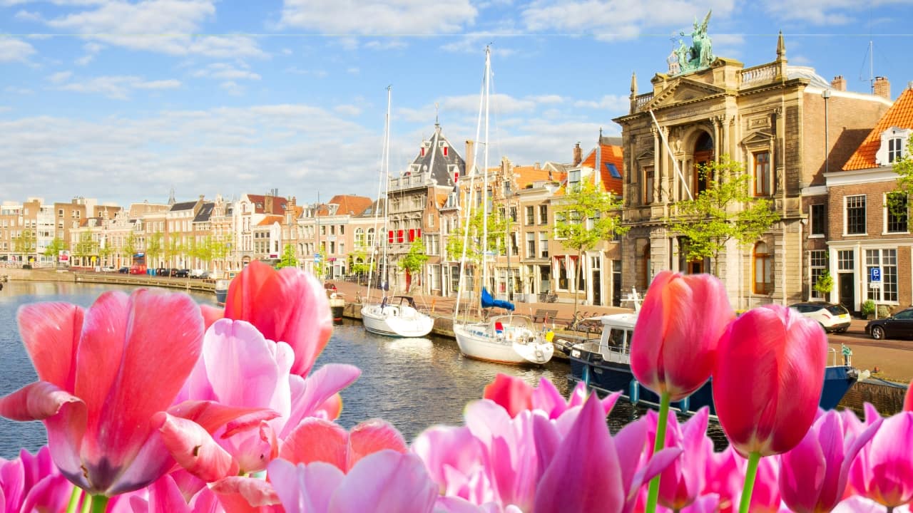 (Image: Canva)
