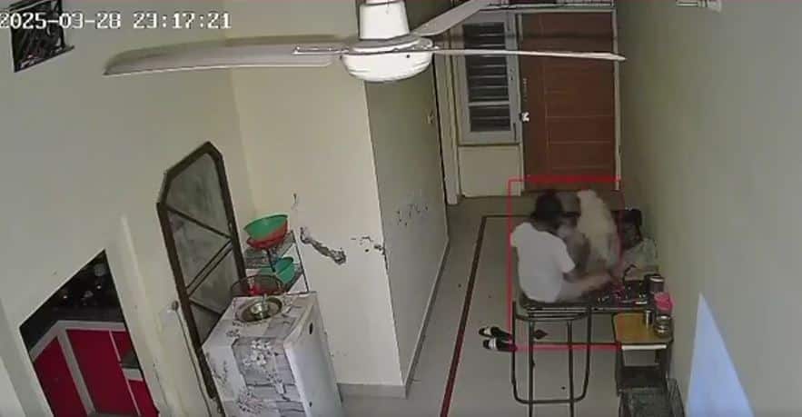 Ludhiana man slaps mom, 85, multiple times; sister in Australia watches on CCTV, gets him arrested | Video