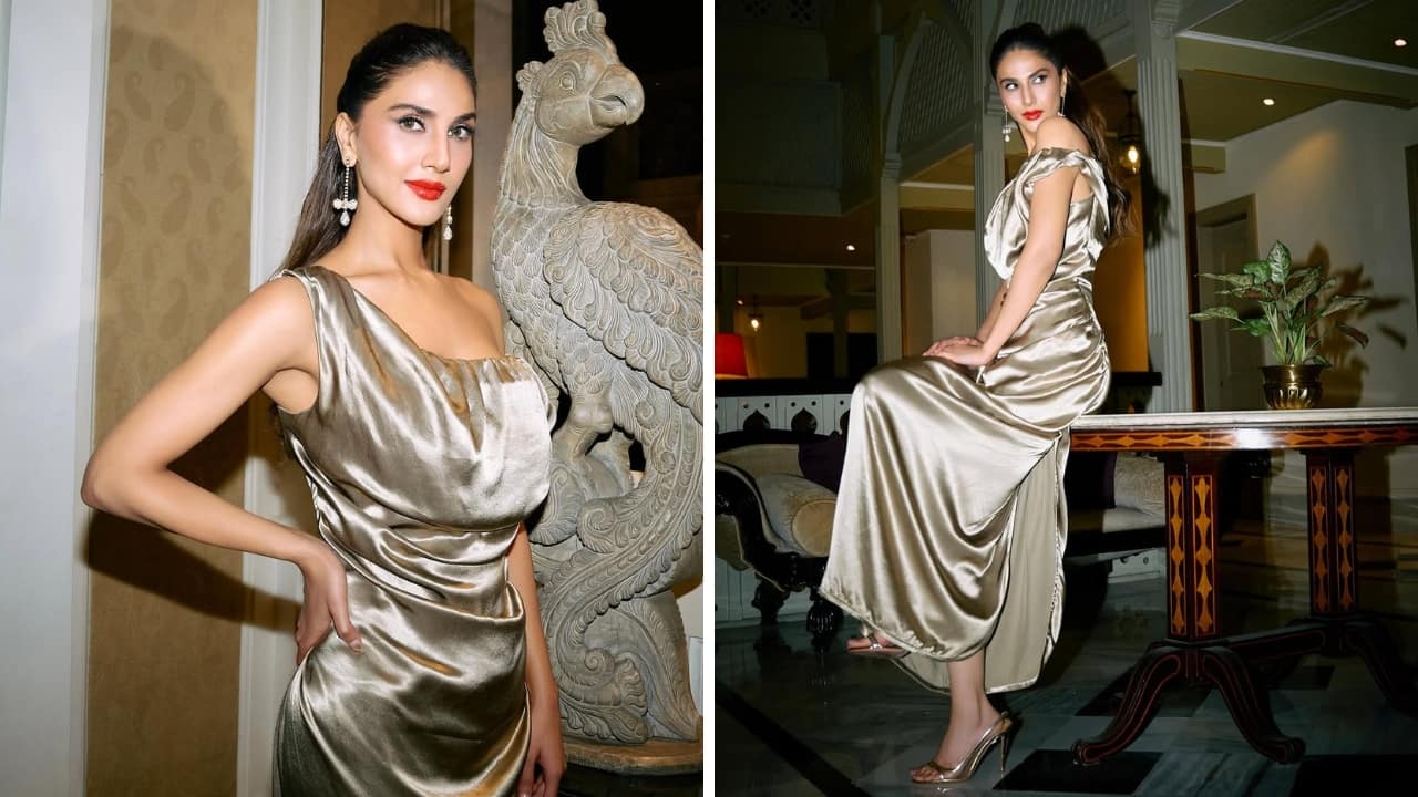Vani Kapoor at Raid 2 launch (Images: @vaanikapoor/Instagram)