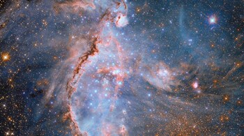 Hubble Turns 35: Fresh Look at Star Factory in Nearby Galaxy. (Image: NASA)