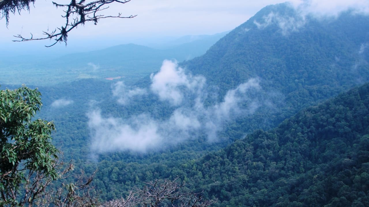 2. Agumbe, Karnataka Known as the &quot;Cherrapunji of the South,&quot; Agumbe is a paradise for nature lovers and trekkers. It’s famous for stunning sunsets, rainforests, and being a habitat for the endangered king cobra. (Image: Wikipedia)