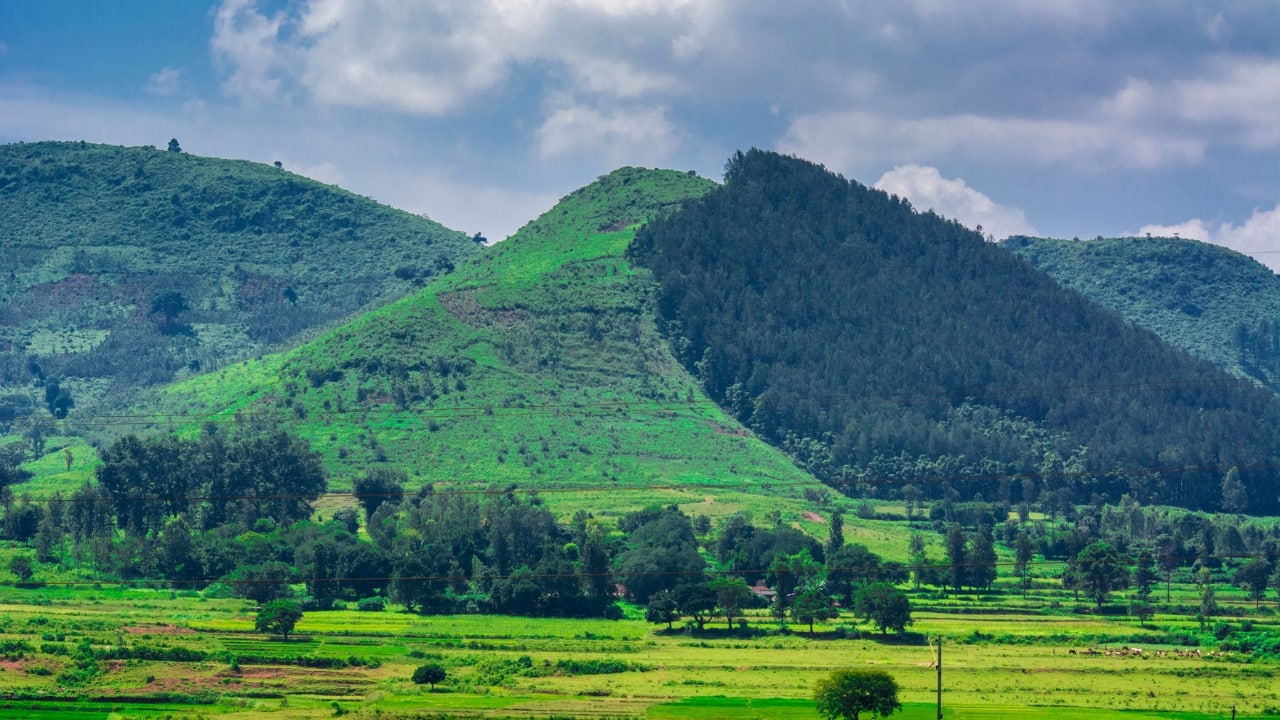 3. Araku Valley, Andhra Pradesh Located near Visakhapatnam, Araku Valley offers coffee plantations, tribal culture, and the scenic Borra Caves. A journey to Araku via the Eastern Ghats is an experience in itself. (Image: Canva)