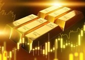 Share of gold in forex reserves doubles in four years, RBI report shows