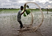 A roller coaster ride for agrochemical companies as harsh monsoon hurts demand