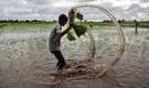 A roller coaster ride for agrochemical companies as harsh monsoon hurts demand