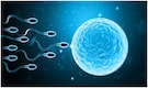 Sperm donor with rare genetic mutation fathered 67 children. 10 of them now have cancer