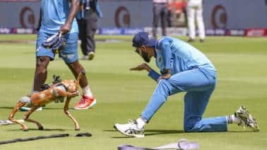 IPL's latest innovation Champak - the Robo-Dog