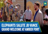 US Vice President JD Vance Receives Grand Welcome at India's Amber Fort with Family