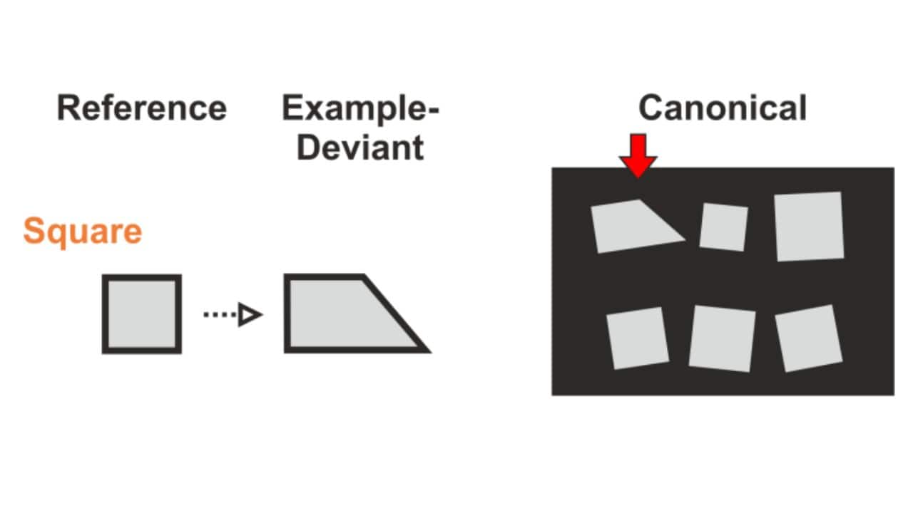 The more symmetrical the quadrilaterals, the easier crows spot the odd one out. (Schmidbauer et al., Sci. Adv., 2025)