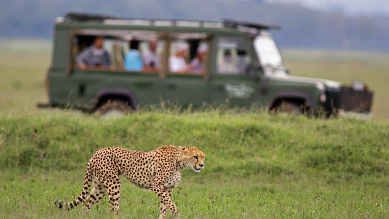 13. Masai Mara National Reserve, Kenya Experience the classic African safari with sprawling savannahs, big cats on the hunt, and the awe-inspiring wildebeest migration. Masai Mara is wildlife at its most spectacular. (Image: Canva)