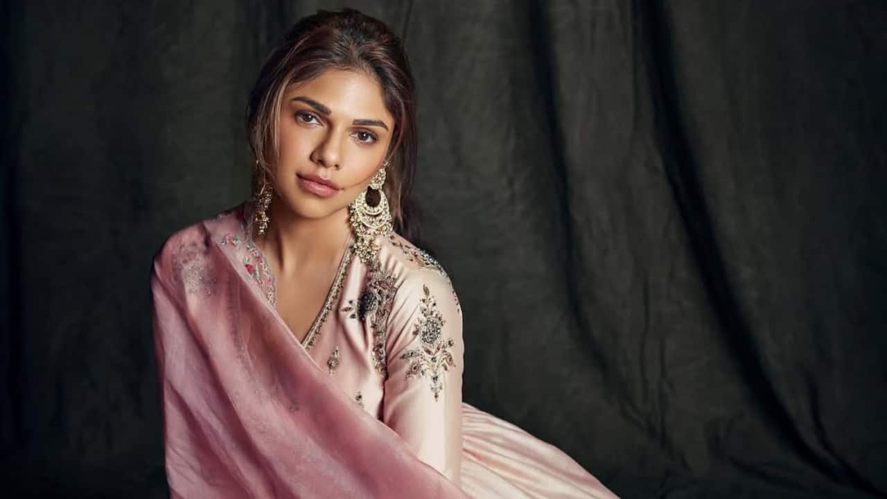 Is Heeramandi Actress Sharmin Segal aka Alamzeb pregnant?