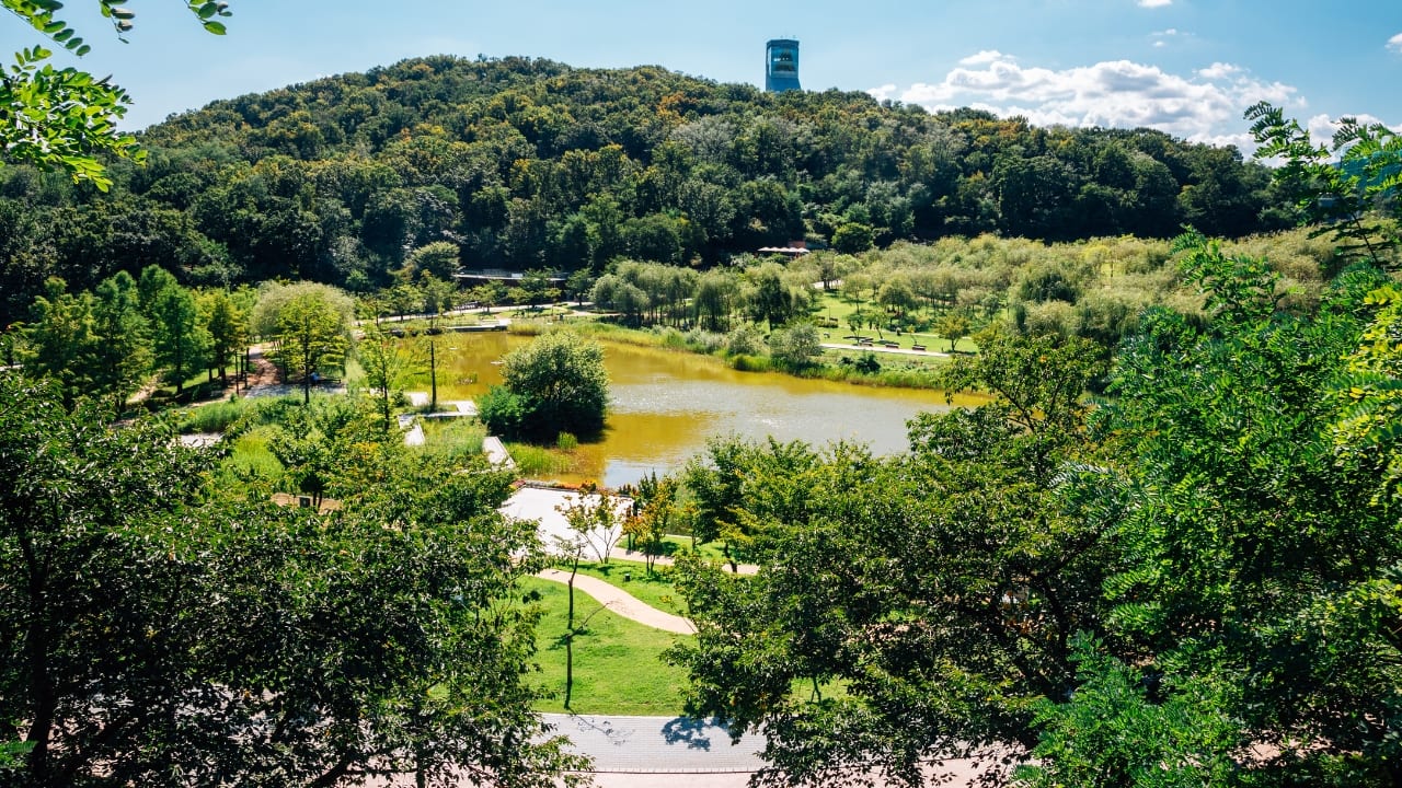 1. Seoul Forest Park, South Korea Tucked into the heart of South Korea’s capital, Seoul Forest Park is a green oasis where modern life slows to a stroll. Once a royal hunting ground, today it’s a public park that blends ecological awareness with urban charm. Stroll along boardwalks lined with birch trees, discover themed gardens and wetlands, or spend time with the resident deer in the ecological forest. It’s the kind of place where you can sip your coffee and still feel a million miles from the city. (Image: Canva)