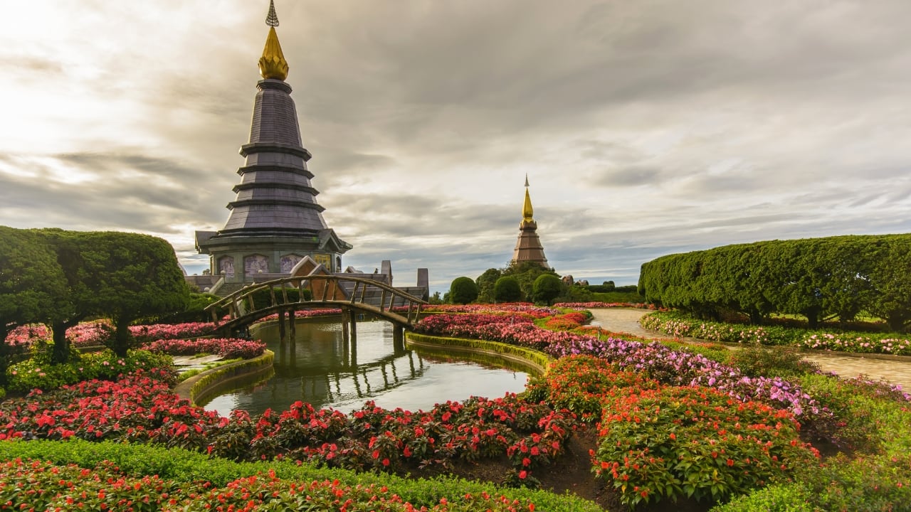 Why These Forests Belong on Your Travel Bucket List Asia’s forests offer something few other destinations can—tranquility, wonder, and an unfiltered connection to the natural world. Whether it’s the bamboo stillness of Kyoto, the mangrove magic of Langkawi, or the mountain mist of northern Thailand, these escapes remind us that the best journeys often begin when we step off the beaten path and listen to the sounds of the forest. So lace up your hiking boots, charge your camera, and let nature lead the way. (Image: Canva)
