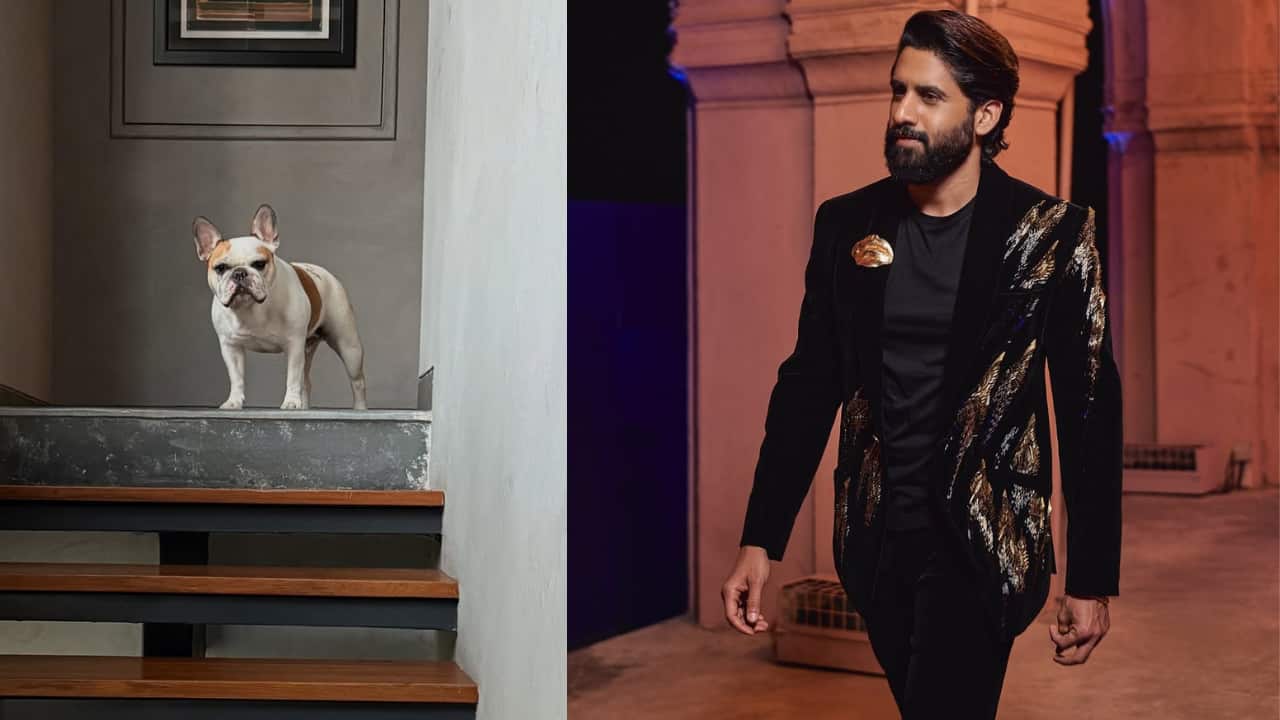 Naga Chaitanya shares a glimpse of his Sunday with ex Samantha Ruth Prabhu’s dog Hash