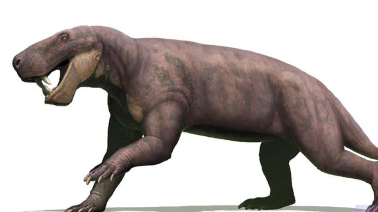 Meet Inostrancevia: The ancient predator that roamed before dinosaurs after Earth's worst extinction