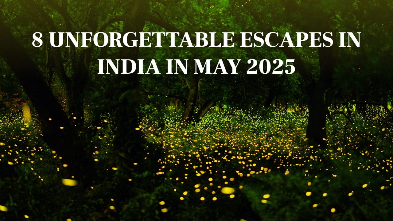 8 Amazing Ways to Embrace Nature and Culture in India This May 2025