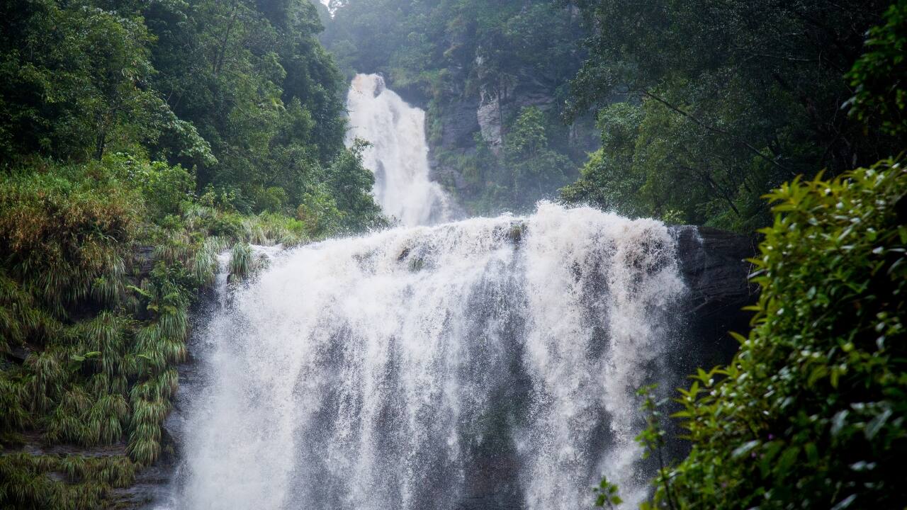 1. Hebbe Falls: Nature’s Hidden Cascade If you're a fan of pristine waterfalls, Hebbe Falls is a must-visit. Tucked away in the lush coffee estates of Chikmagalur, this stunning 168-meter waterfall is not as crowded as other popular spots, making it an ideal escape for those seeking tranquility. The journey to the falls is an adventure in itself, and once you arrive, the sight of the water tumbling down the rocks, surrounded by dense greenery, will leave you speechless. (Image: Canva)