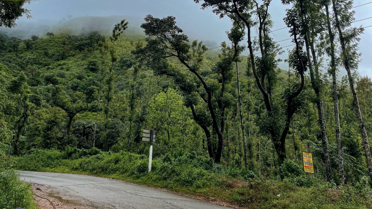 6. Shanthigrama: The Tranquil Village Escape Shanthigrama is one of Chikmagalur’s lesser-known gems, a serene village surrounded by lush forests and coffee estates. It’s the perfect place for a relaxing nature walk or birdwatching session. With its peaceful ambiance, this quaint village offers a slice of rural life and is a great spot for those looking to unwind and connect with nature. (Representative Image: Unsplash)