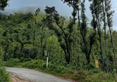 Over 90 forest rights groups write to PM, claim environment ministry attempting to 'subvert' FRA