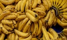 Fruit company staff in Norway find 147 kg cocaine worth over Rs 138 crore in a box of bananas