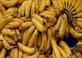 Fruit company staff in Norway find 147 kg cocaine worth over Rs 138 crore in a box of bananas