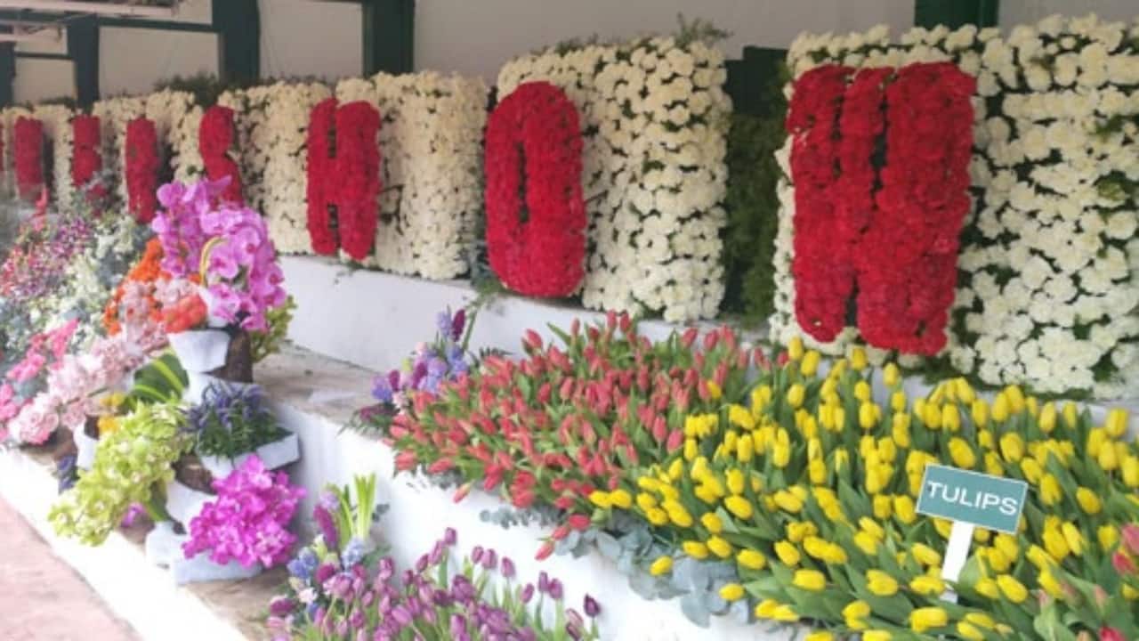 Ooty Flower Show 2025: Dates, Ticket Prices, Venue, and Everything You Need to Know