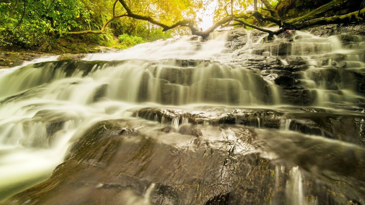 1. Vattakanal, Tamil Nadu Cradled above Kodaikanal, Vattakanal is the hill station that time forgot. Shrouded in mist and mystery, it’s where winding trails lead to panoramic cliff views, and cafés hum with conversations in a dozen languages. This bohemian enclave is perfect for those seeking peace, introspection, or just a slower rhythm of life. (Image: Canva)